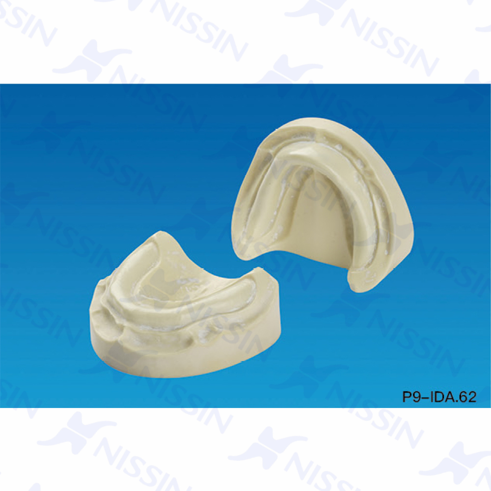 種植實習用模型