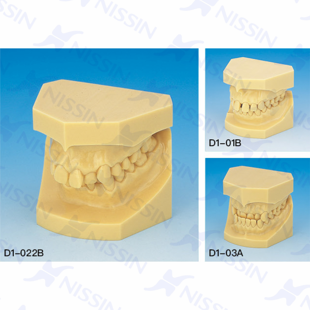 正畸錯(cuò)頜畸形分類演示模型（10組1套）